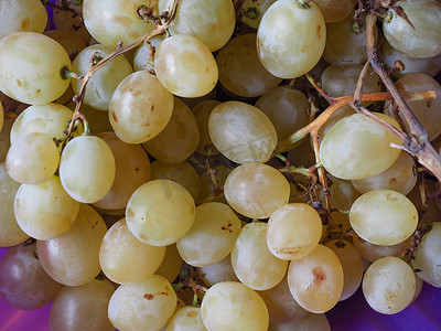 欧亚种葡萄摄影照片_白葡萄水果食品