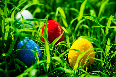 草地上的四个彩色复活节彩蛋