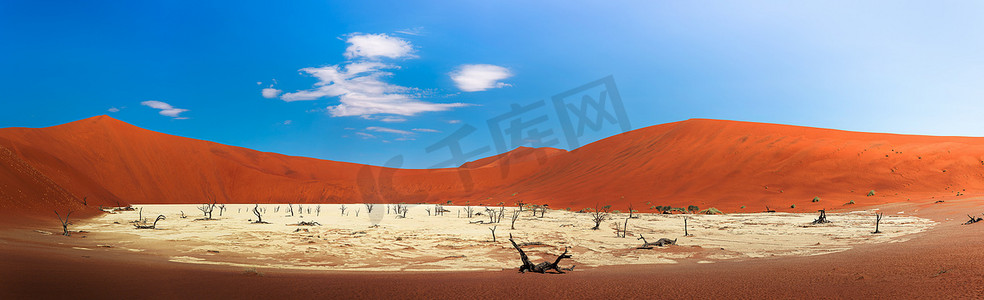 纳米比亚 Deadvlei 的红色沙丘和死骆驼刺树全景
