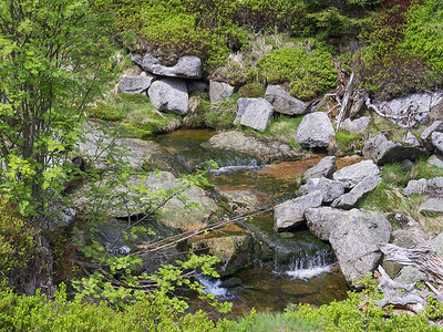 捷克伊泽拉山的春山溪流 Bila Smeda，有石头和巨石、草和苔藓、绿色灌木