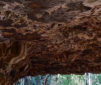 Undara Lava Tubes 微妙的生态系统在澳大利亚巡回演出