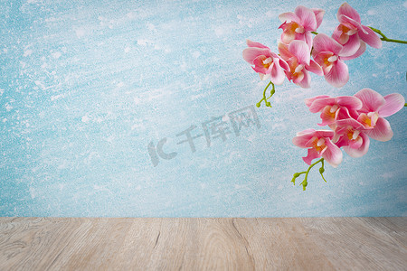 木地板和蓝色墙壁装饰着粉红色兰花，空荡荡的背景空间。