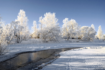 清明上河图白摄影照片_海岸河上的雪树