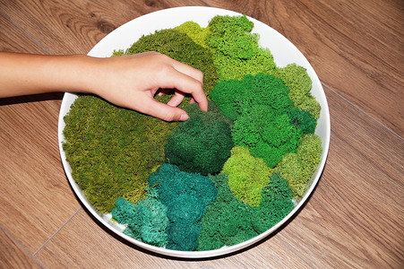 女人的手制作了一块圆形的绿色稳定苔藓板，用于办公室或公寓的生态室内装饰