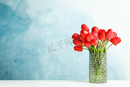 蓝色背景的白桌上有美丽红色郁金香的玻璃花瓶，文字空间