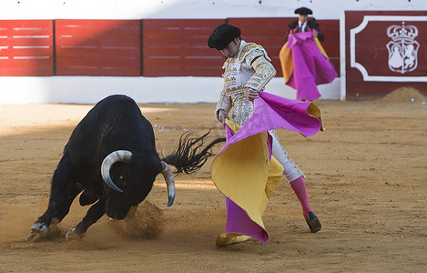 2011 年 9 月 9 日，西班牙哈恩省萨比奥特，西班牙斗牛士卡耶塔诺里维拉带着斗篷在萨比奥特斗牛场