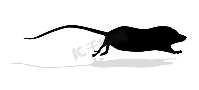 鼠标符号摄影照片_白色背景上的矢量剪影鼠标
