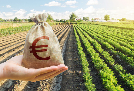 农业补贴摄影照片_手在胡萝卜种植园的背景下拿出一个欧元 y 袋。