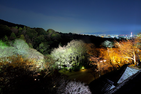 清水寺摄影照片_夜晚的清水寺