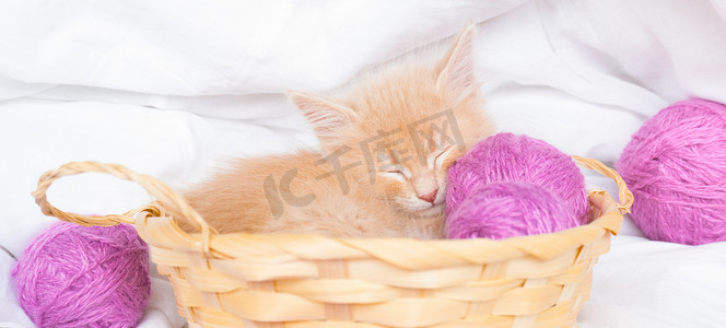 姜黄色的小猫睡在一个草篮里，篮子里放着粉红色的球，白床上的线团。