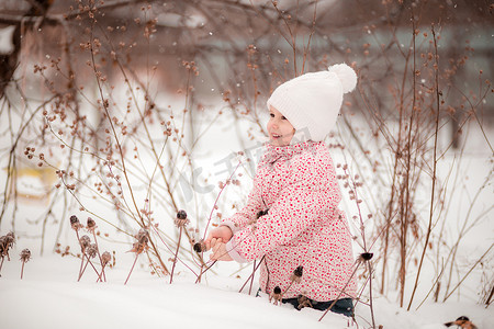 一个小女孩坐在雪地里，在阳光明媚的冬日采摘干植物。