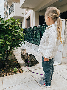 侧面猫摄影照片_小女孩在房子附近用皮带牵着一只虎斑猫