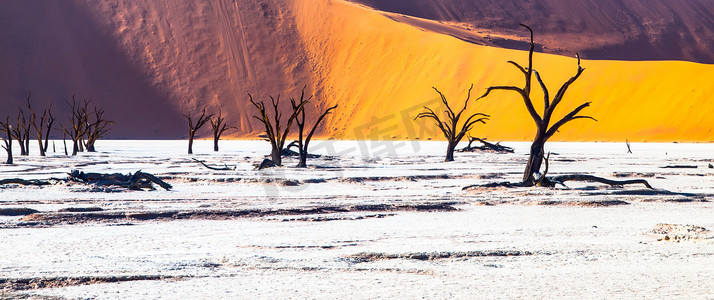 死骆驼刺树在 Deadvlei 干锅与开裂的土壤在纳米布沙漠红色沙丘，Sossusvlei，纳米比亚，非洲中部