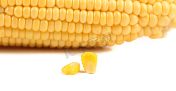 农业摄影照片_玉米芯和玉米粒。