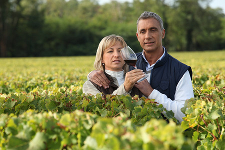 庆祝十一摄影照片_农业夫妇在葡萄园里拿着一杯酒
