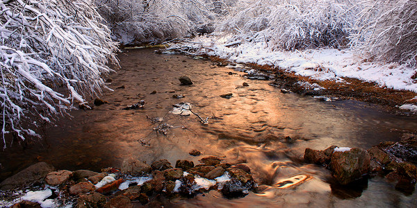 伊利诺伊州柳溪冬景