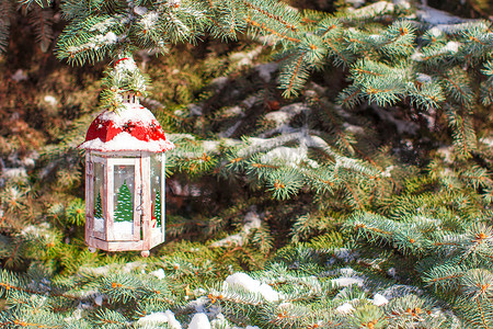 树枝灯笼摄影照片_冷杉树枝上挂着降雪的圣诞灯笼