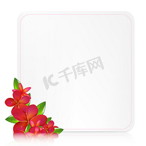 空白的礼物标签与粉红色的素馨花