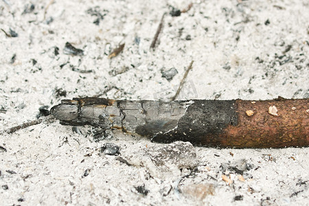 木头颜色背景背景摄影照片_一根烧焦的木头躺在灰烬中