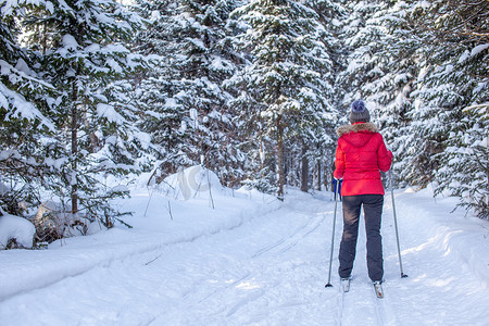 冬天，一个穿红色夹克的女孩去白雪皑皑的森林里滑雪。