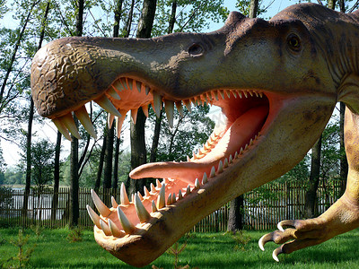 好斗的恐龙的下颚和牙齿关系密切。