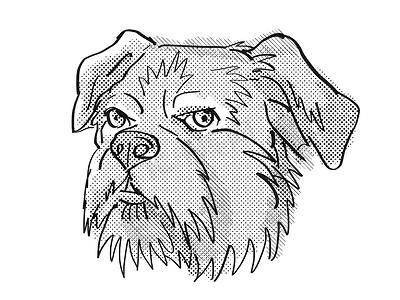 布鲁塞尔格里芬狗品种卡通复古绘图