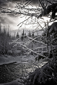 黑白河冬景