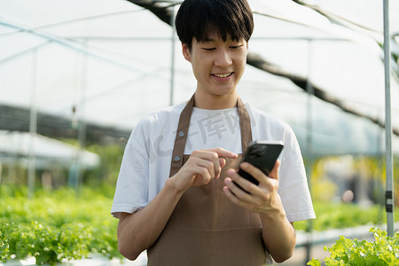 农户用手机查看客户订单，表现出收获水培蔬菜的喜悦。
