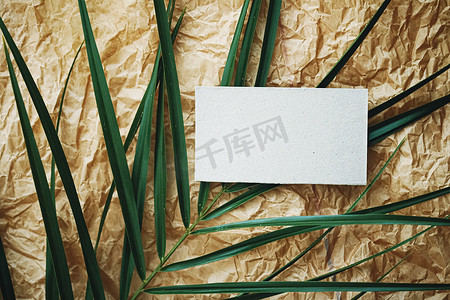 棕色羊皮纸背景和绿色异国情调叶子上的白色名片平铺、奢侈品牌平铺和品牌标识设计模型