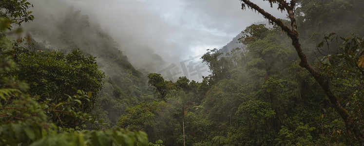 云雾森林摄影照片_秘鲁的云雾森林，全景