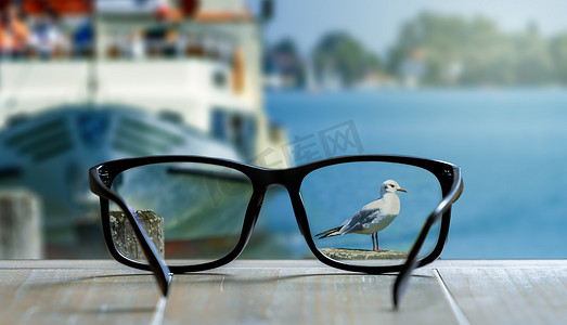 假期加班摄影照片_在鸟儿度假时透过眼镜的敏锐视力