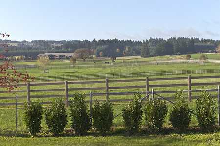 马牧场和乡村生活在俄勒冈州的农村。