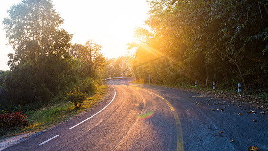 绿化路摄影照片_有黄线和太阳的路