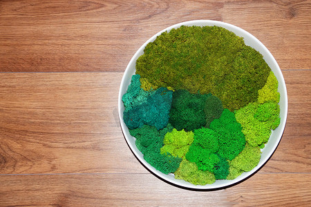 由各种色调的稳定苔藓制成的圆形面板，用于办公室或公寓内部的生态装饰