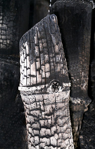 炭摄影照片_制墨用竹炭。