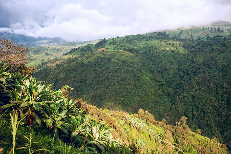 厄瓜多尔现状：安第斯山脉、天空和香蕉