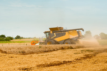 田间收割摄影照片_夏季在田间收割小麦。