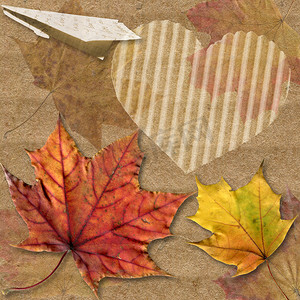 带平面折纸和心形的秋叶