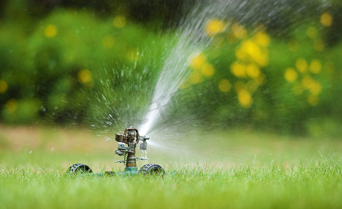 洒水器给草坪浇水