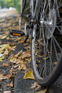 脚踏摄影照片_秋天的自行车