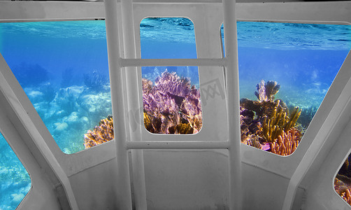 从水下潜水艇的热带珊瑚礁视图