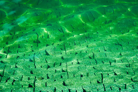水泥地上的绿水波纹