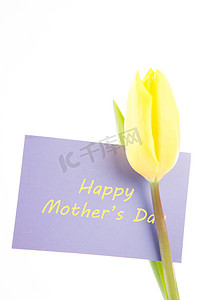 黄色郁金香，白色背景上有淡紫色的快乐母亲节贺卡