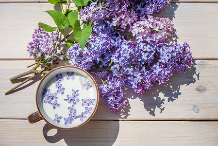杯子用牛奶和小紫色淡紫色花