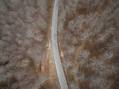 大气公路摄影照片_森林中一条空路的鸟瞰图