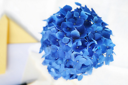 “笔和文具旁边的蓝色绣球花，在平静的叫喊声中”
