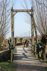 森林吊桥摄影照片_大自然中的木吊桥与柳树