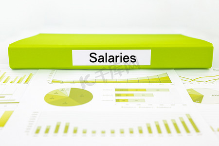 薪资文件、图表分析和付款报告