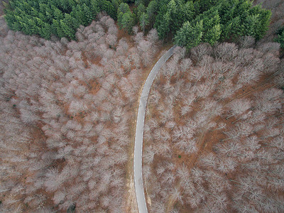 森林中一条空路的鸟瞰图