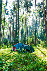 早上在森林里的旅游露营